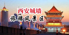 日老屄中国陕西-西安城墙旅游风景区